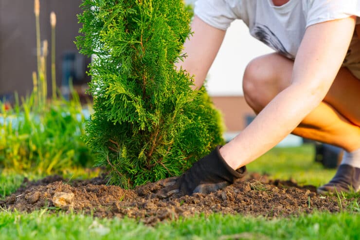reduce landscaping corst